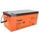 MERLION GL122000M8 Аккумуляторная батарея 12 V 200 Ah 99-00015554 фото 1