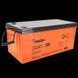 MERLION GL122000M8 Аккумуляторная батарея 12 V 200 Ah 99-00015554 фото 2